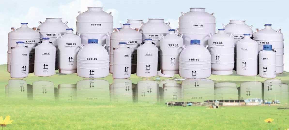 Cryogenic Storage Tank